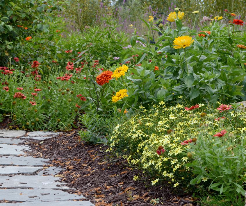 Red and yellow flowers next to path in a Butterfly Garden.