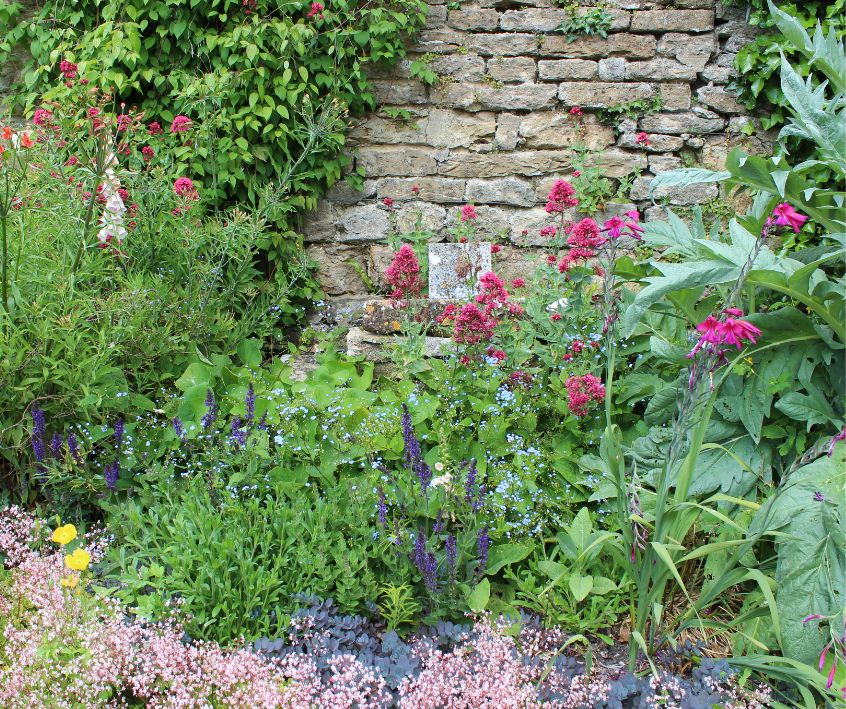 Tightly spaced blooming flowers in a small garden.