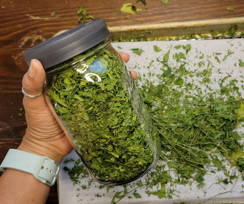 A person holding a jar of dried parsley over a tray of dried parsley leaves.