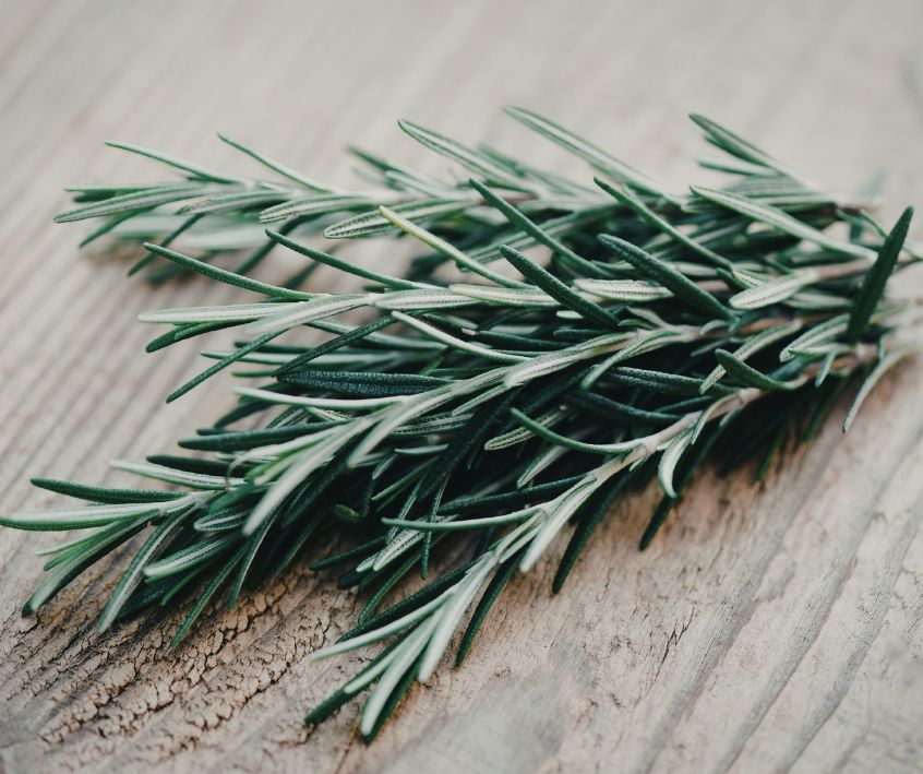Fresh green rosemary sprigs on wooden surface,