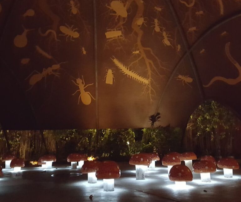Red and white mushroom lights in a dome decorated with images of insects at the Singapore Gardens by the Bay