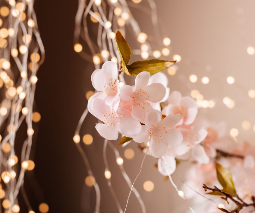 Warm fairy lights cascading down behind pink flowers.