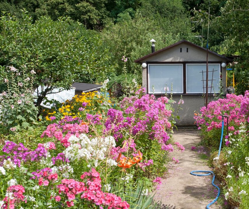 A home front yard full of brightly colored flowers and a lush food forest in back.