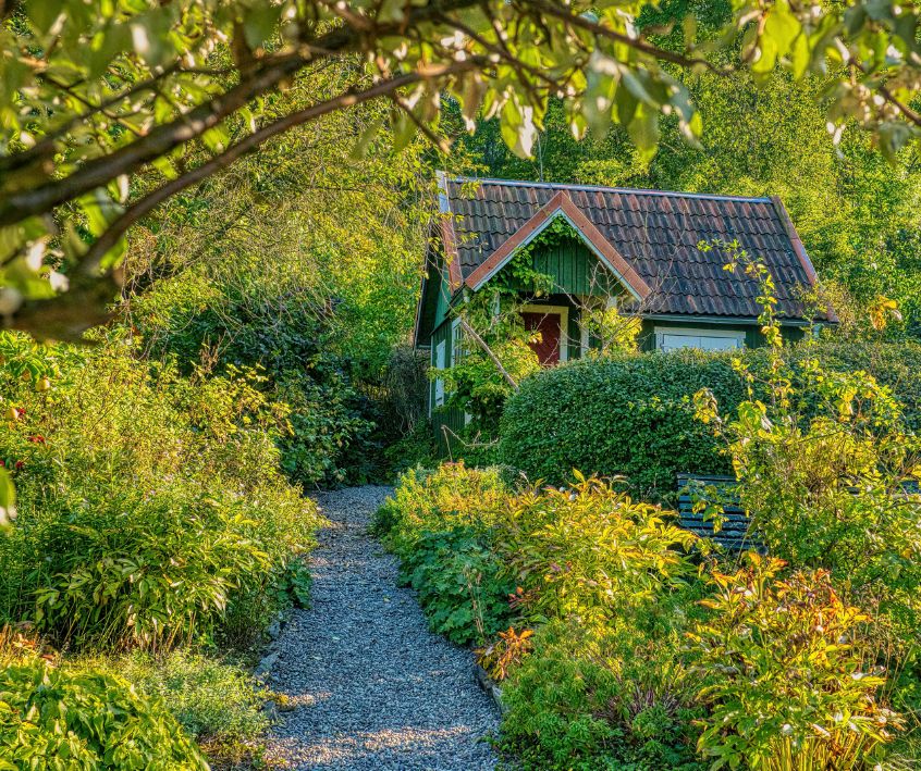 A cozy home surround by a lush forest garden.