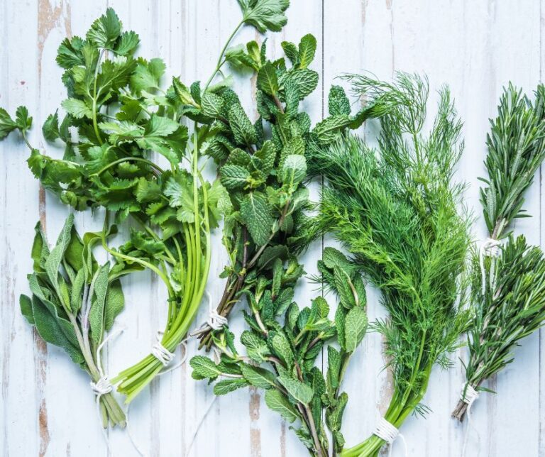 Bundled fresh herb sprigs on a white table.