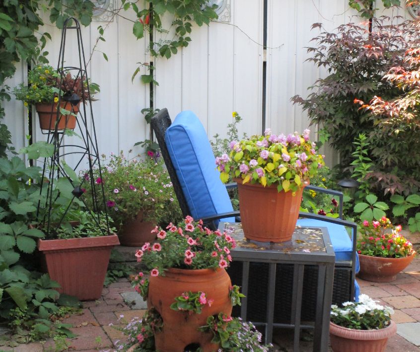 A blue chair surrounded by flowering plants on a relaxing patio.