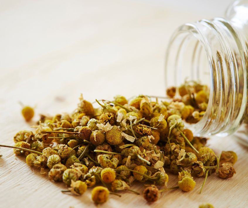 A glass jar spilling out dried chamomile flowers onto a white countertop.