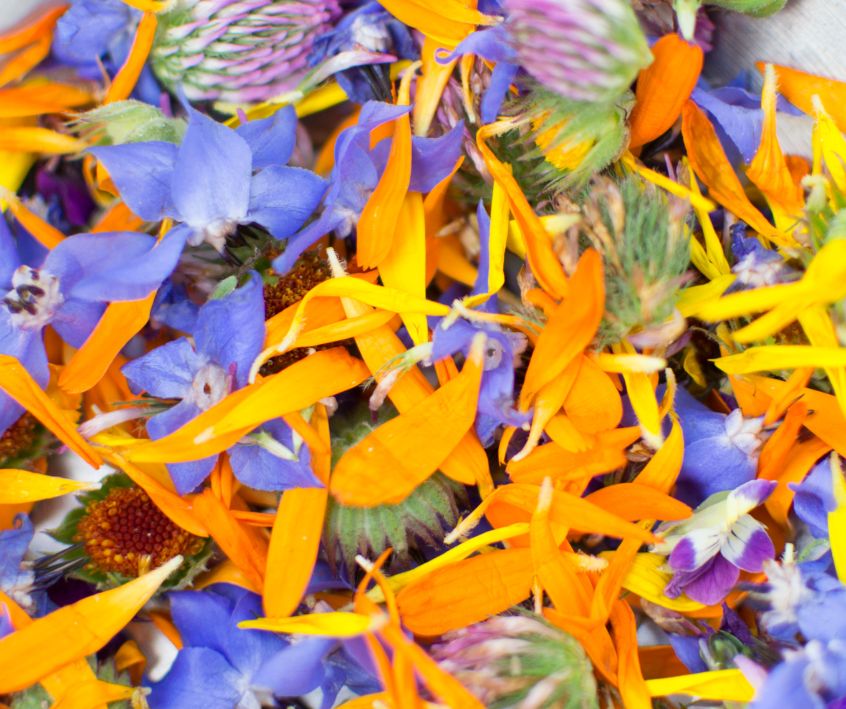 Edible flowers petals and whole flowers.