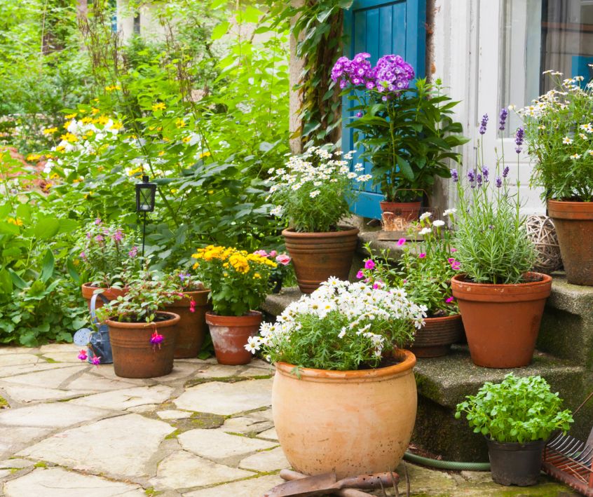 Terracotta patio container garden full of healthy, herbs, vegetable and flower plants.