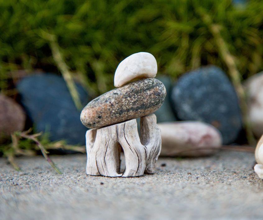 Small river rock and drift wood in a miniature garden.