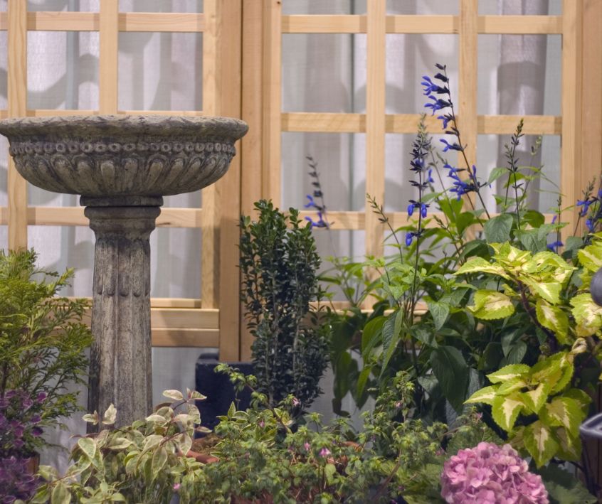 Patio full of pollinator friendly flowers and grey pedestal bird bath.