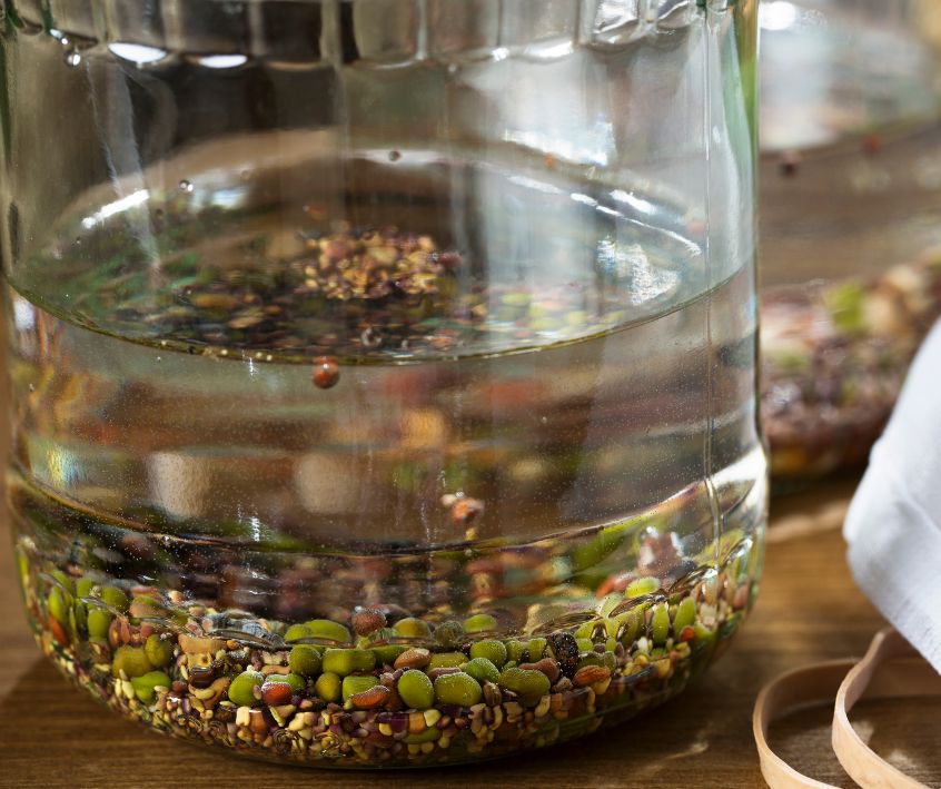 Seed mix soaking in diluted hydrogen peroxide for sprouting.
