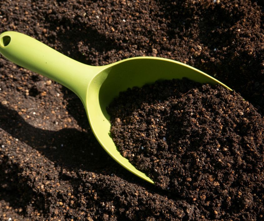A green scoop in bulk potting soil for a vegetable garden.