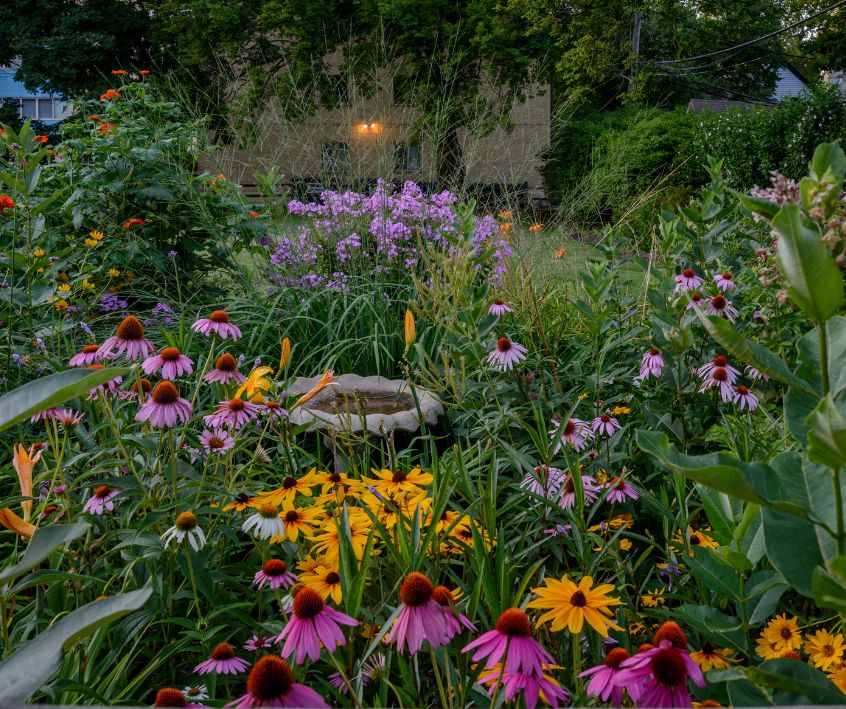 Bright garden flowers surrounding a stone pedestal bird bath.