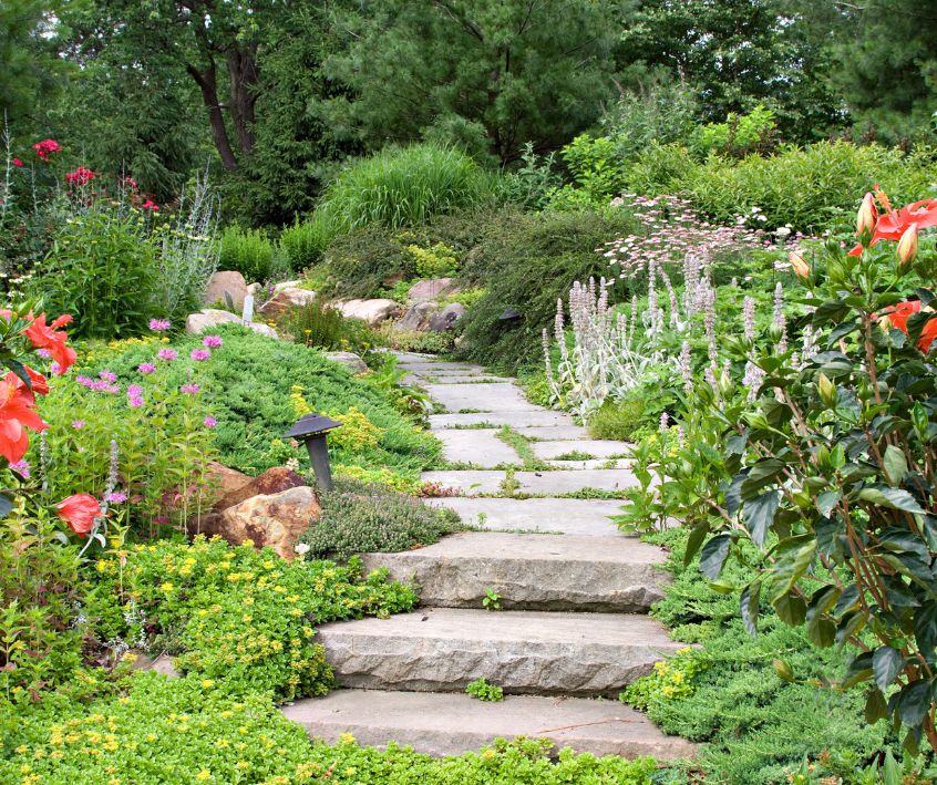 A stone garden path weaving through a lush forest garden of trees, shrubs, and flowers.