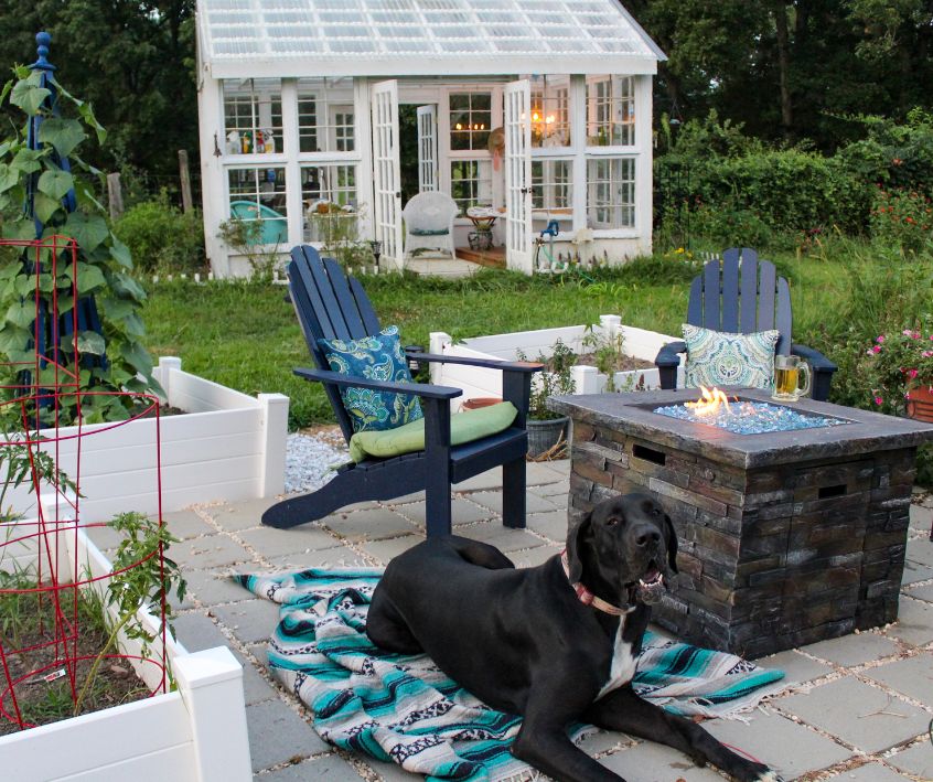Great Dane lying on a beautiful patio in garden with fire pit Adirondack chairs and greenhouse.
