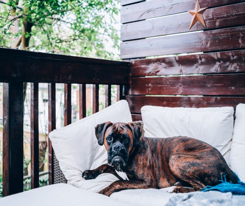White outdoor furniture on patio deck with a brown dog laying on it.