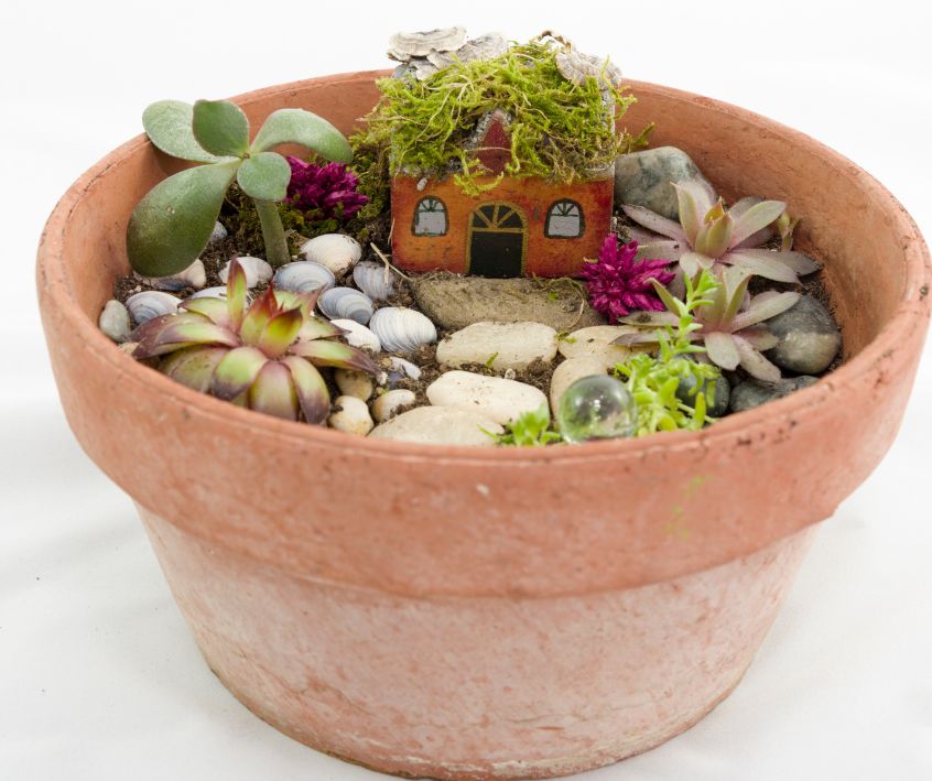 A terracotta pot fairy garden decorated with a small house, pebbles and succulent plants.